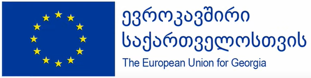 European Union in Georgia